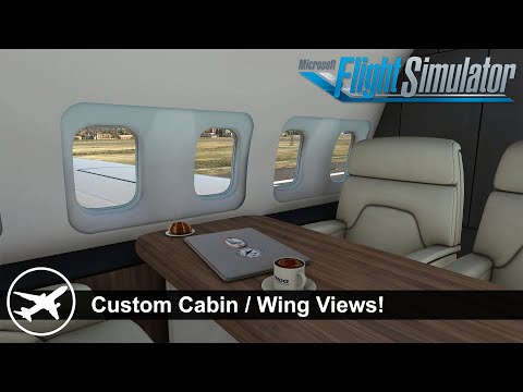 [MSFS] How To Get Custom Camera Views In The PMDG 737-700 & Other Aircraft