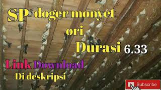 Download lagu SUARA PANGIL SP DOGER  MONYET ORI DARI ALAM, SUARA BURUNG WALET JERNIH mp3 Download lagu SUARA PANGIL SP DOGER  MONYET ORI DARI ALAM, SUARA BURUNG WALET JERNIH mp3