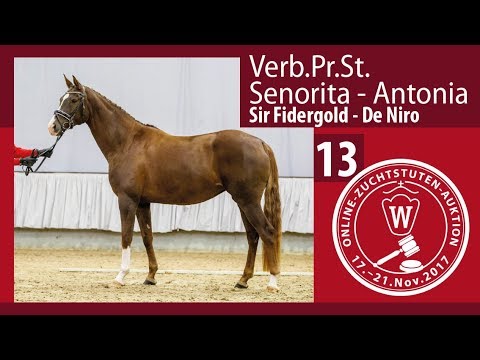 13 Verb.Pr.St. Senorita-Antonia v. Sir Fidergold - De Niro