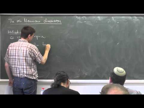 Roman Sauer  a mini-course on L^2-cohomology