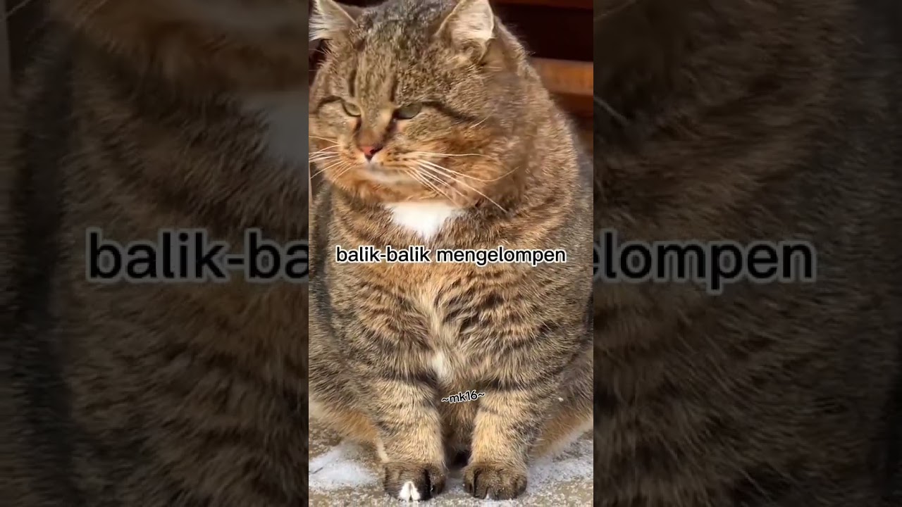 Sikit2 kolompelen....sikit2 komplen...