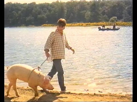 Trailer-Vorschau: Doc Hollywood