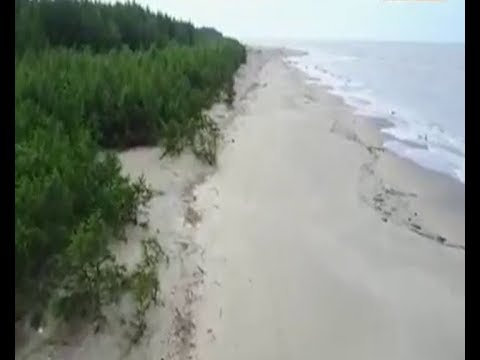 সোনাদিয়া দ্বীপে হচ্ছে ইকো ট্যুরিজম পার্ক