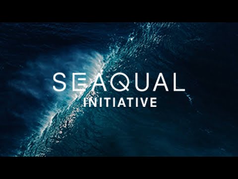 Product video preview