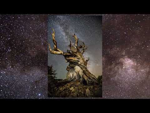 Vegard, Vilde & David - "03:06" (Ólafur Arnalds & Nils Frahm), retold as a duet