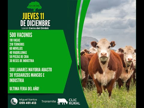 11/12/2025  Feria Mensual - Cerro del Ombu / Local Cerro del Ombú - Tacuarembó