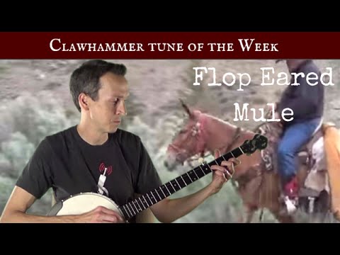 Clawhammer Banjo: Tune (and Tab) of the Week - "Flop Eared Mule"
