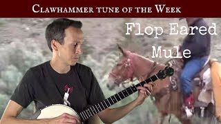 Clawhammer Banjo: Tune (and Tab) of the Week - "Flop Eared Mule"