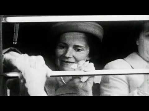 Damals in der DDR - 03 - Utopie hinter Mauern