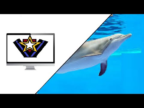 ,,5 SCHOCKIERENDE FAKTEN über DELFINE´´