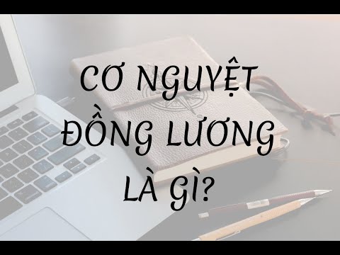 Cơ Nguyệt Đồng Lương là gì?
