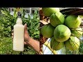 Homemade Coconut Toddy | How to make Toddy from Coconut Water | Lockdown | Bachelor Cooking Recipes