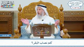 1833 - كم نصاب البقر؟ - عثمان الخميس