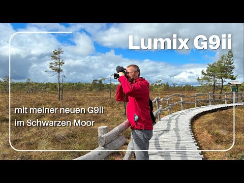 Lumix G9ii - mit der neuen Kamera im Schwarzen Moor/Rhön... auch die Videoaufnahmen nun mit der G9ii