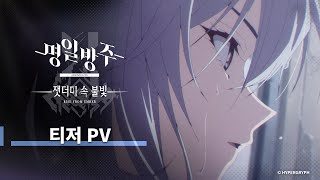 퀘이사존