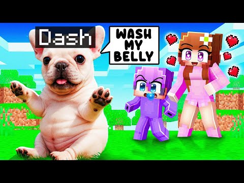Playing As BABY PIBBLE To Troll My Friends in Minecraft…