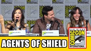 Agents of SHIELD Panel (VO)