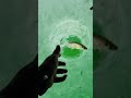 Video Thumbnail for Just keep swimming..#shorts #fishing #subscribe #like #short