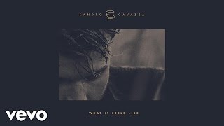 Sandro Cavazza - What It Feels Like (Audio)