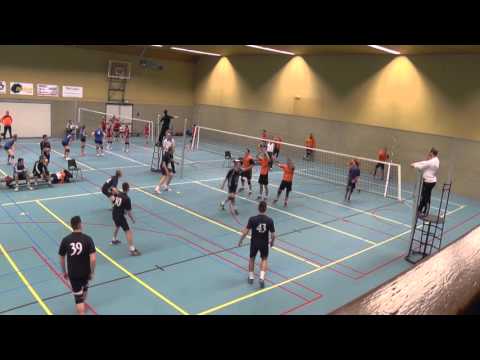 Stevo HS1  - Nextvolley HS3