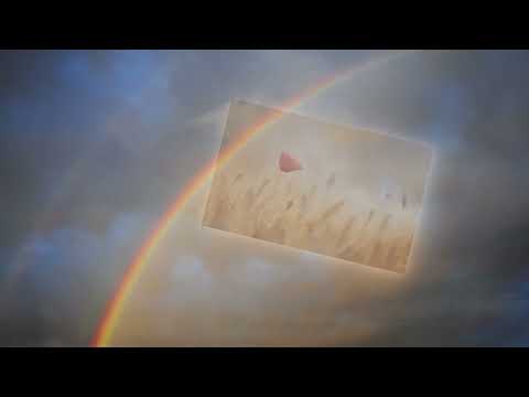 Danica Obrenic   Jovane, sine!