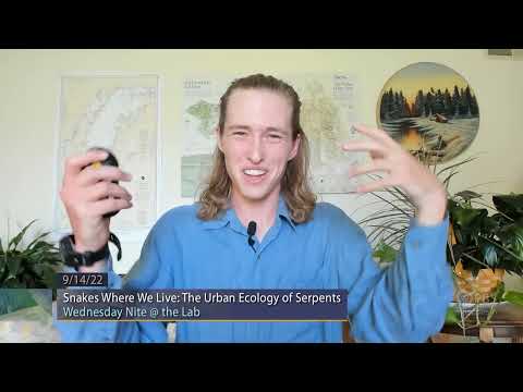 Snakes Where We Live: The Urban Ecology of Serpents | University Place