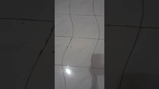 Download lagu pake filter goyang goyang🤣 mp3