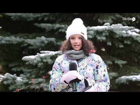 Recomandări de iarnă la munte - Ana Gheorghe