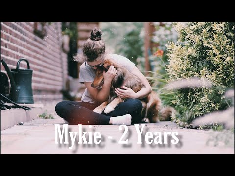The dream of life | Mykie - 2 Years