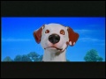 Nick Dog