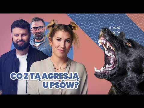 Agresywny pies - jak go lepiej zrozumieć. W Harmonii z Psem. Odcinek 2.