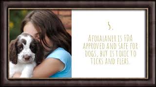 Protect Your Dog From Fleas & Ticks With Nexgard Extra Large Dog Chew Treatments