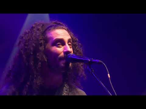 Pigeons Playing Ping Pong | The Capitol Theatre | Relix