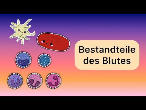 Components of the blood