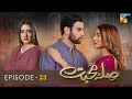 Sila E Mohabbat | Episode 23 | HUM TV Drama | 12 November 2021