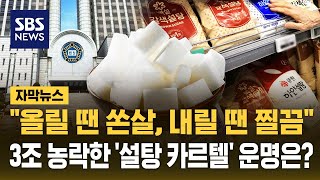 대표가 직접 판 짰다 3조 원대 설탕 담합 1심 선고..CJ제일제당·삼양사 '설탕 카르텔' 운명은? (자막뉴스) / SBS