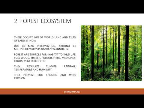 Types of Ecosystems