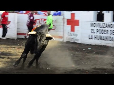 Costa Ricans take part in bullfights for end of year celebration