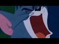 The Tom And Jerry Show Tom Same Scream Compilation