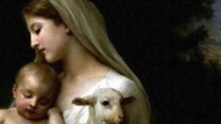 Rowland S. Howard - Avé Maria - Pop Crimes