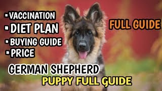 Full Guide Of German Shepherd puppy / In Hindi / DIET PLAN /VACCINATION