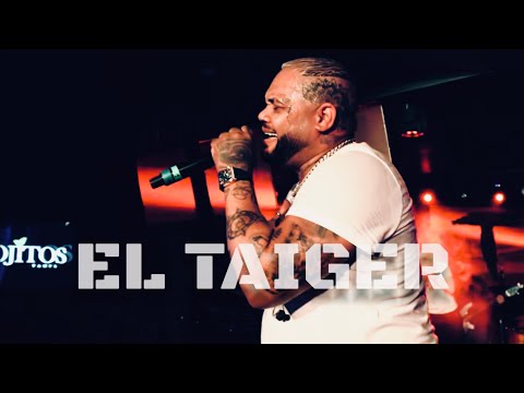 EL TAIGER-LA HISTORIA
