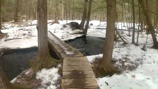 UpNorth Virtual Trail Tour [Cranberry Meadow Pond Trail] Winter 2022