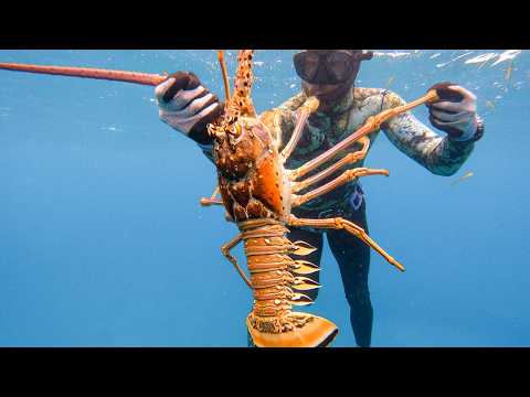 GIANT LOBSTER! (Bahamas Spearfishing Catch & Cook)