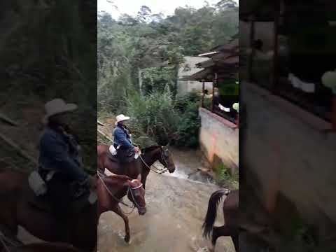 Cabalgas En Caldas Antioquia, reserva al 3155919650