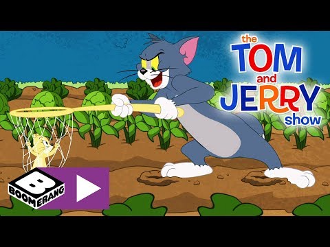 download lagu mp3 mp4 Tom Garden, download lagu Tom Garden gratis, unduh video klip Tom Garden