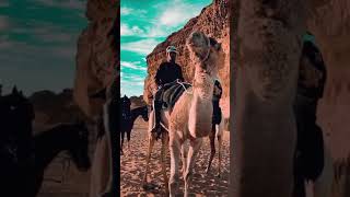 Download lagu Arabic status | Instagram story hd mp3