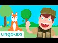 A Hunting We Will Go - Nursery Rhymes | Lingokids