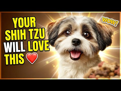 Do This and Your Shih Tzu Will Trust You Forever