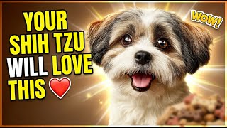 How to Bond With Your Shih Tzu: Trust-Building Activities & Daily Routines